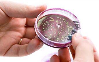 Batteri nella secrezione della prostata